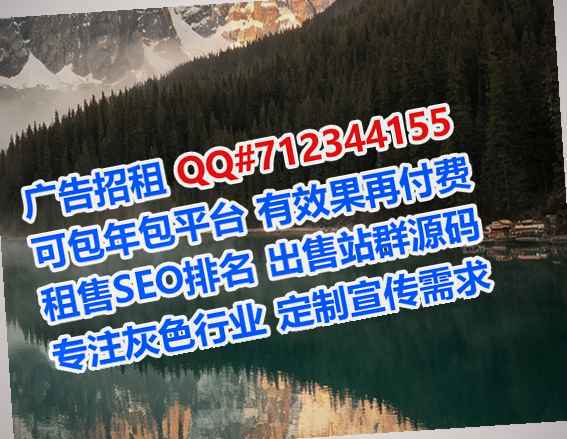 三穗孕母软件公司